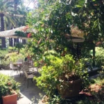 Buy a villa in the city centre of Sanremo, photo 25