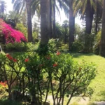 Buy a villa in the city centre of Sanremo, photo 6