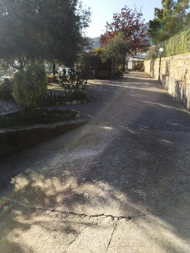 Backyard in seven-room villa in Sanremo