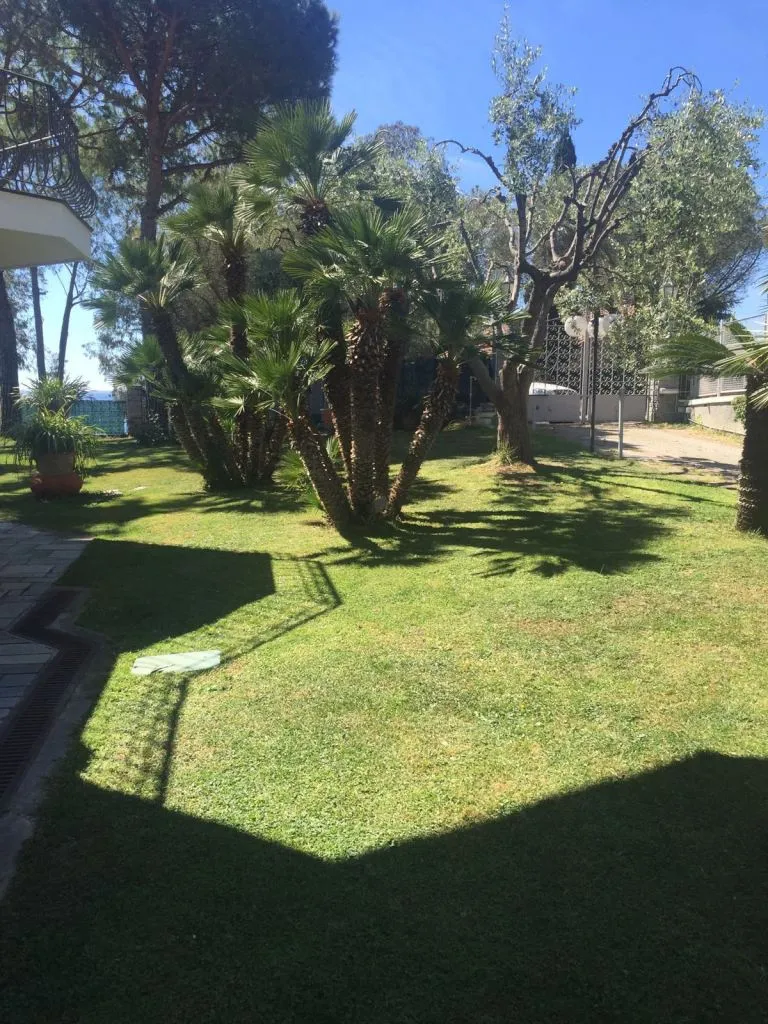 Garden in five-room villa in Sanremo