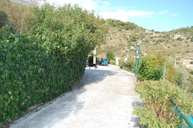 Road to rhe villa San Pietro in Sanremo
