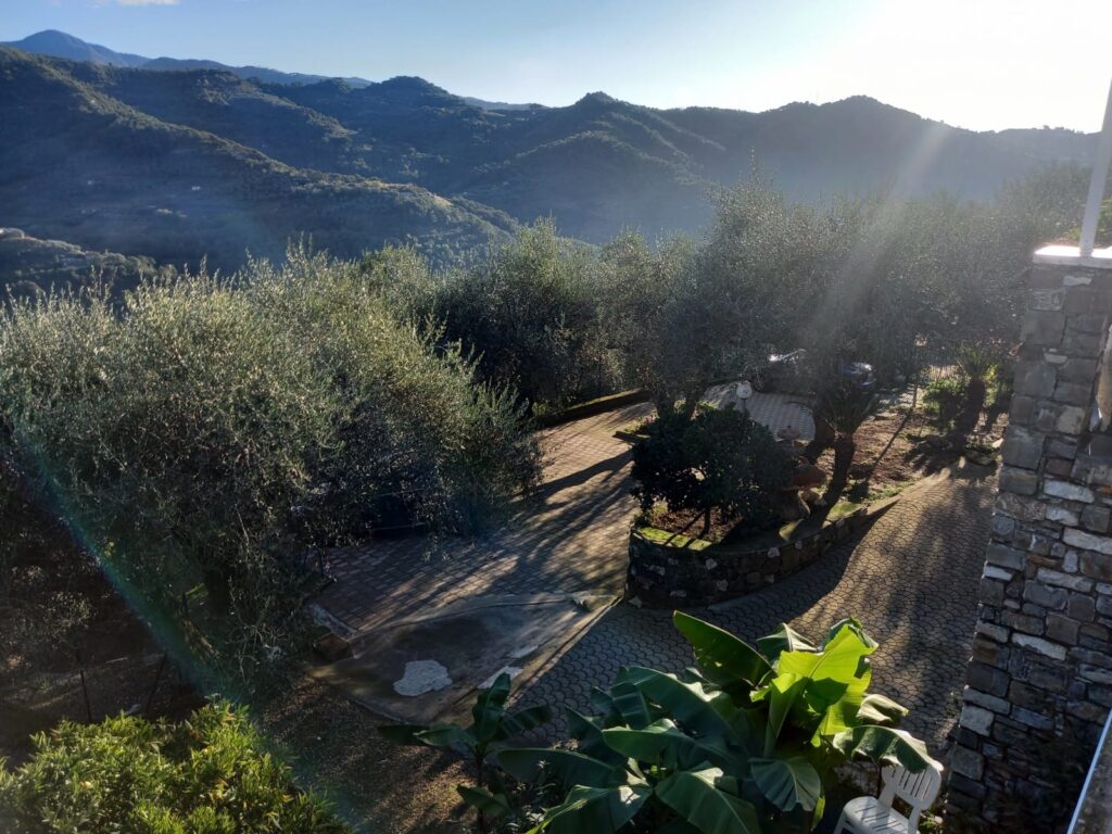 Buy a villa with a panoramic view in Dolceacqua, photo 10