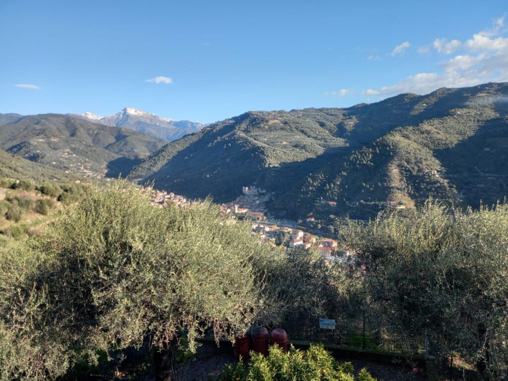 Buy a villa with a panoramic view in Dolceacqua, photo 3