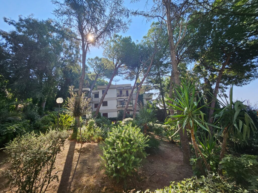 Rent an apartment in Sanremo with sea view, photo 1