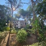Rent an apartment in Sanremo with sea view, photo 1