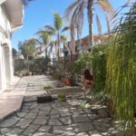 Rent an apartment in Sanremo, photo 1