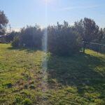 Buy a villa in Sanremo with sea view, photo 3
