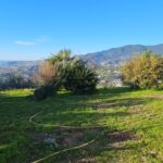 Buy a villa in Sanremo with sea view, photo 4