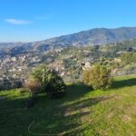 Buy a villa in Sanremo with sea view, photo 33