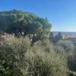 Buy a beautiful villa in Bordighera, photo 7