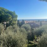 Buy a beautiful villa in Bordighera, photo 8