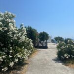 Rent a spacious two-room apartment with a view of the sea, photo 16