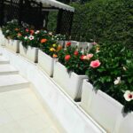 1.	Sanremo – Elegant Prestigious Villa with Swimming Pool and Large Garden, Just a Short Walk From the Sea, photo 3