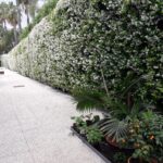 1. Sanremo – Elegant Prestigious Villa with Swimming Pool and Large Garden, Just a Short Walk From the Sea, photo 10