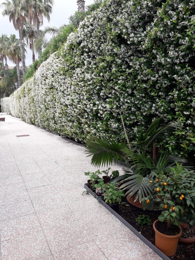 1. Sanremo – Elegant Prestigious Villa with Swimming Pool and Large Garden, Just a Short Walk From the Sea, photo 10